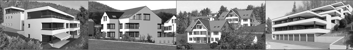 Architekt Liestal